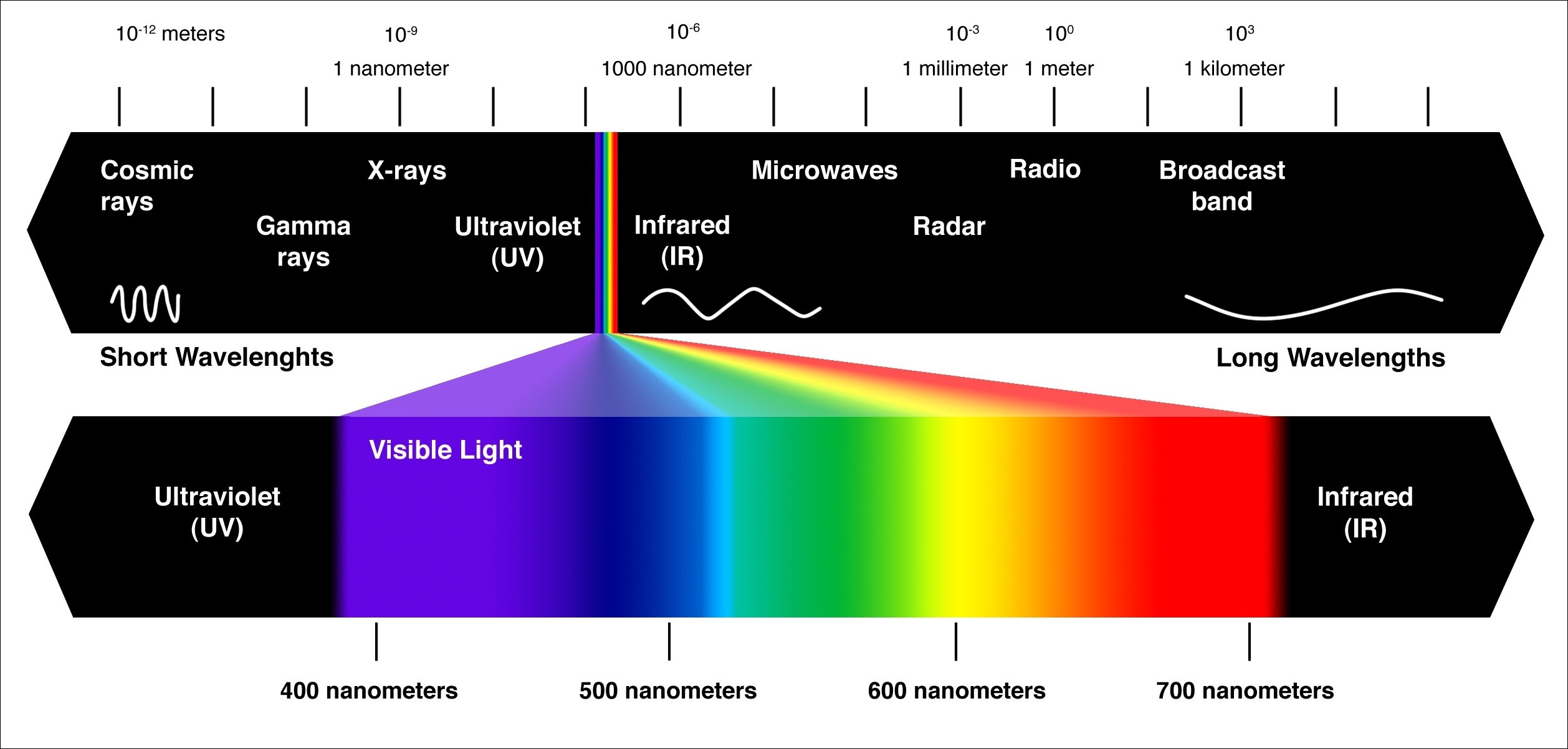 visible-light-spectrum